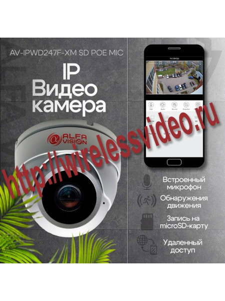 IP видеокамера AV-IPWD248F-XM SD POE MIC RCA